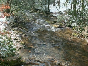 A tributary of the Davidson River near Brevard, NC, Avery Creek produces wild trout for fly fishing