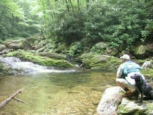 Fly fishing guide with his dog on Courthouse Creek, near Brevard and Cashiers, NC