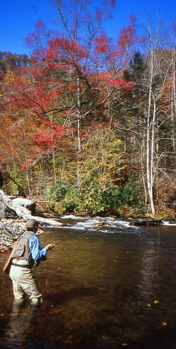 Fly-fishing tips for Davidson River, NC